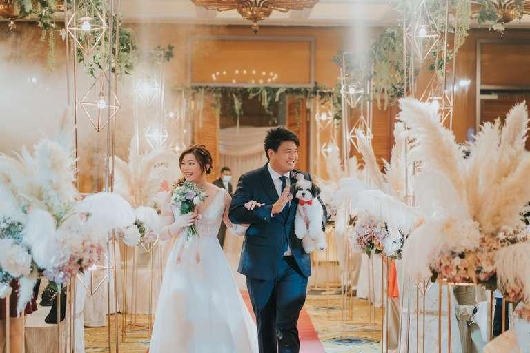 Portfolio image 3 for Bittersweet Photography